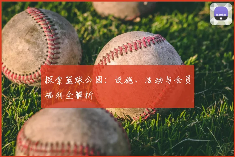 探索篮球公园：设施、活动与会员福利全解析