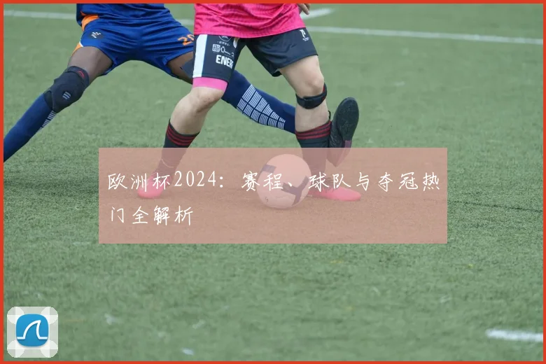 欧洲杯2024：赛程、球队与夺冠热门全解析